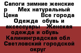 Сапоги зимние женские р.37. Мех натуральный › Цена ­ 7 000 - Все города Одежда, обувь и аксессуары » Женская одежда и обувь   . Калининградская обл.,Светловский городской округ 